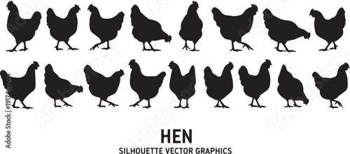 A collection of black silhouettes of hens in various walking positions isolated on white background