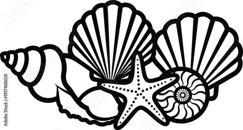 Summer Beach Seashells Starfish Marine Vector Collection with vector illustration