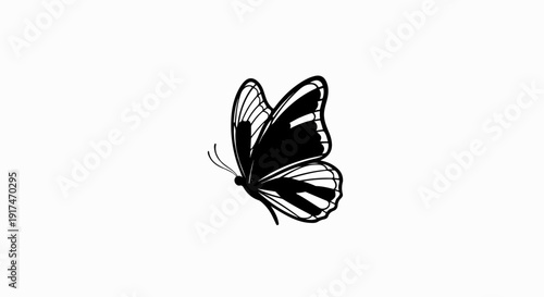 A stylized black and white butterfly is depicted with its wings spread open