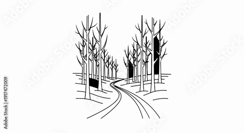 A winding path through a forest of bare trees with shadows
