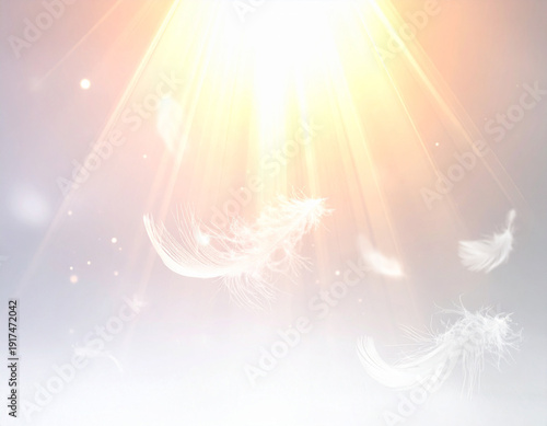 天使の羽が舞う神秘的な光の空間　神聖　スピリチュアル　愛と癒しのエネルギー