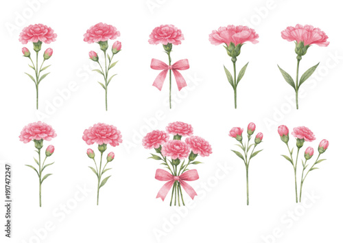 水彩カーネーションイラストセット 母の日ギフト花素材 ベクター