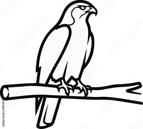 Black and white drawing of a bird of prey perched on a branch