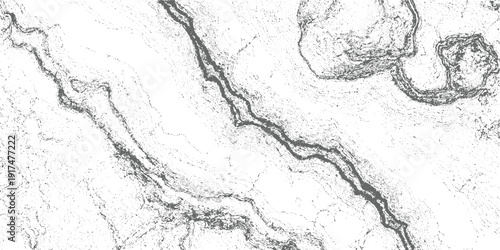 Abstract topographic map texture with contour lines and dots in grayscale background pattern