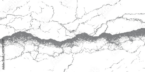 Cracked grey and white abstract texture with organic lines and granular detail background