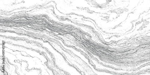 Detailed grey and white abstract pattern resembling geological strata or wood grain texture background