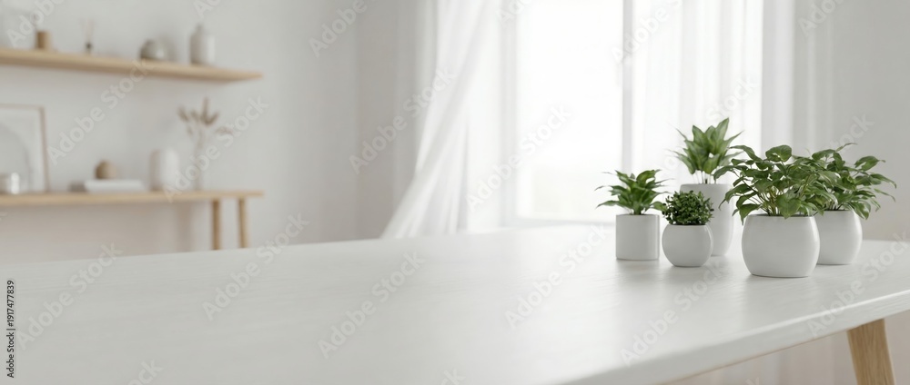 Fototapeta premium Creating a serene indoor garden with potted plants on a minimalist table modern home still life photography bright natural light close-up tranquility and calmness