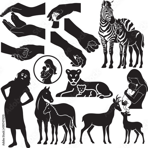 Animal Care and Wildlife Silhouette Set – Horses, Zebra and Veterinary Icons Collection