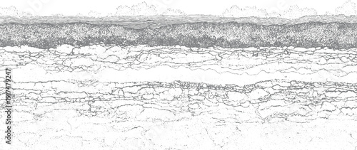 Detailed grayscale cross section of layered geological strata with textured rock formations and distant foliage