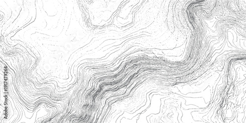 Detailed grey contour lines forming topographic map patterns on white background topography