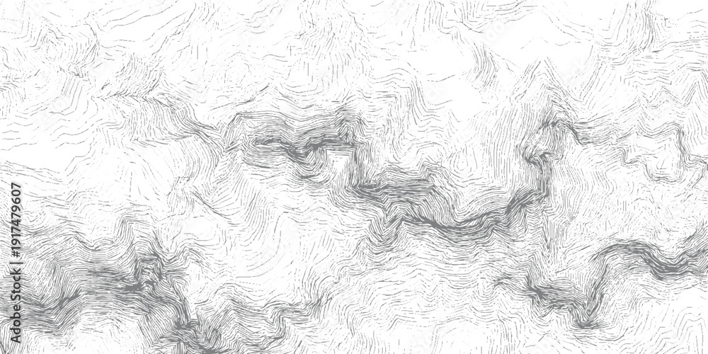 Obraz premium Intricate grey contour lines creating a topographic map texture on a white background
