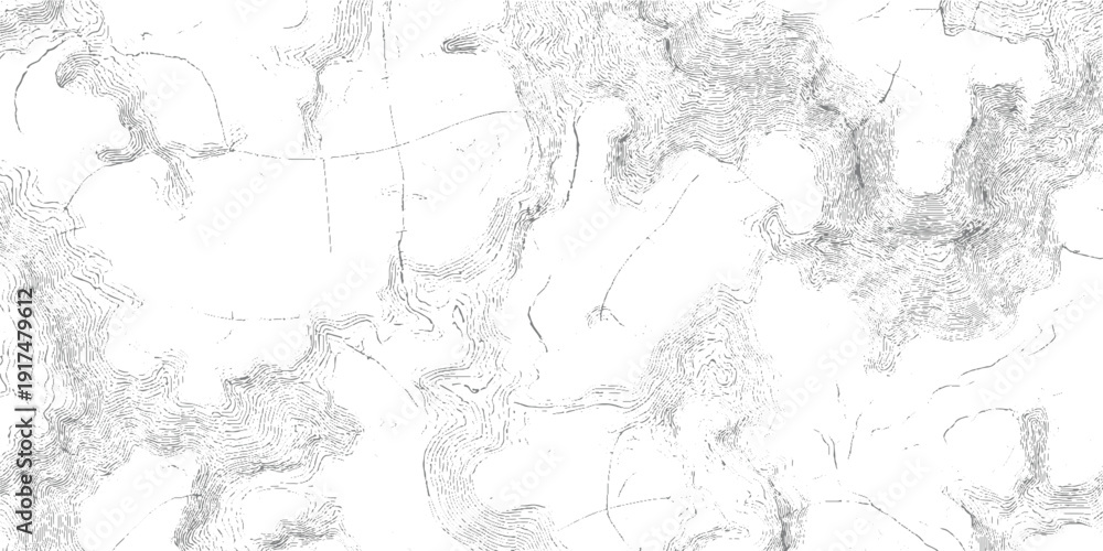Obraz premium Topographic contour lines map showing elevation changes and terrain in grayscale