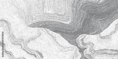 Detailed topographic map contour lines in grayscale with abstract flowing shapes topography curves