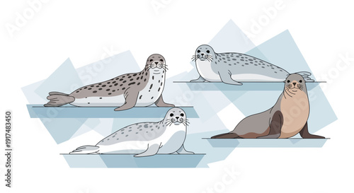 Seals resting on ice floes in a serene arctic landscape illustration