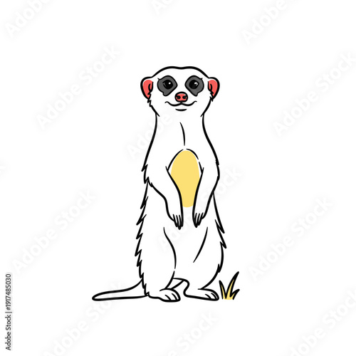 Cartoon Meerkat Standing Upright Illustration.