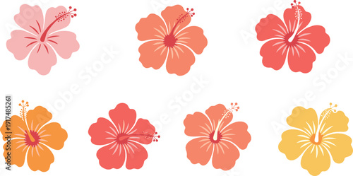 Hibiscus flower collection with colorful tropical floral designs representing summer, exotic nature, and botanical beauty illustrated in clean flat vector style