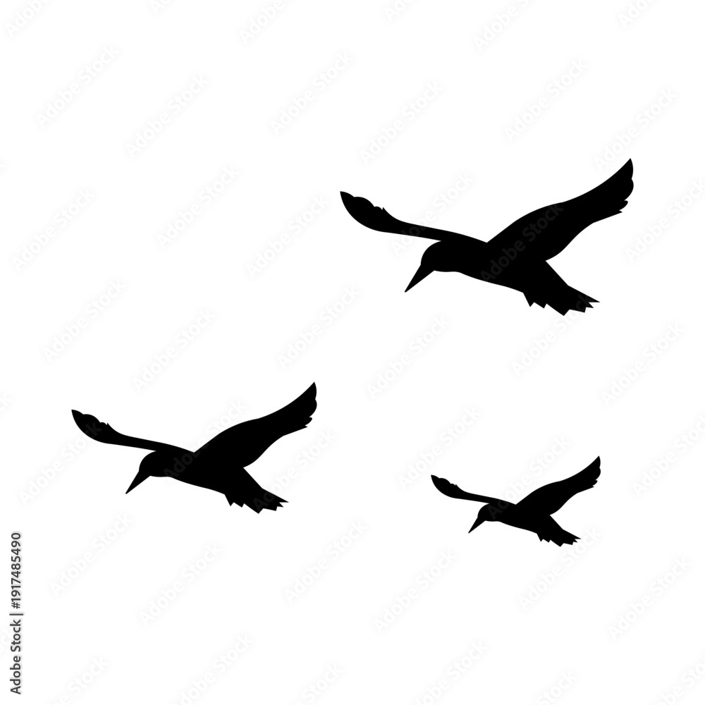 Fototapeta premium Flying Bird Silhouette