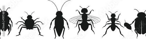 Insect silhouette illustration set, beetle fly ant artwork, entomology vector design, taxonomy graphic pack, biology symbol collection, black and white sketch