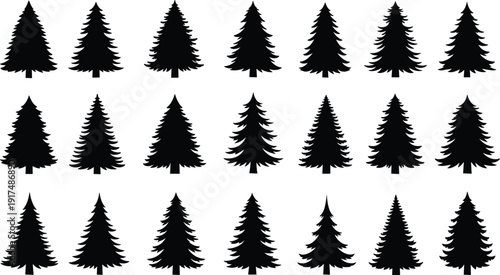 Pine tree silhouettes set, evergreen fir and spruce shapes, forest nature elements, winter and christmas vector illustration isolated