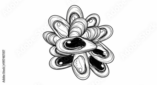 Black and white illustration of a cluster of open mussels