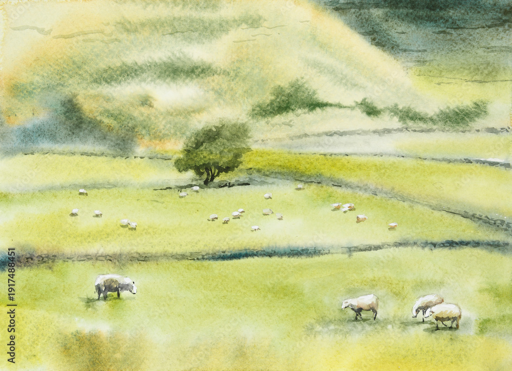 Fototapeta premium Rural landscape with field, trees, grass and sheeps. Ecologically clean area with green hills. Village in the summer. Watercolor illustration or background for eco products, banner. Hand drawn illustr