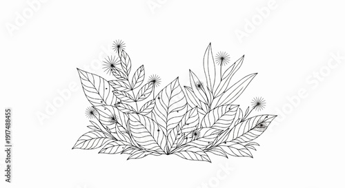 Black and white line art of a cluster of leafy plants with small flowers