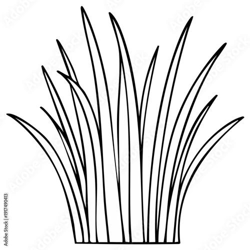 Minimalist graphic outline of tall blades of grass illustration