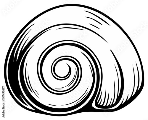Detailed black and white illustration of a snail shell spiral design.