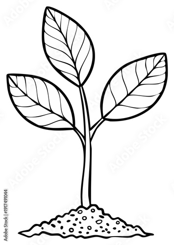 Simple line art drawing of a young plant seedling growing from soil with three leaves and delicate stem