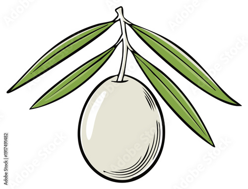 Single Olive Fruit on Stem with Green Leaves Illustration