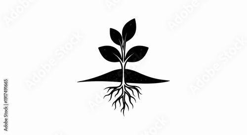 Black silhouette of a sapling with visible roots emerging from soil