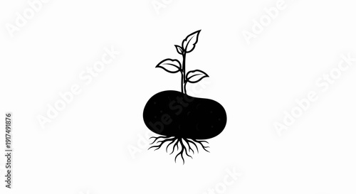 Black silhouette of a sprouting potato with roots on a white background