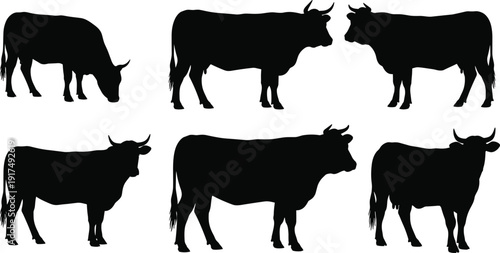 Set of cow silhouettes farm livestock collection isolated black cattle figures for agriculture design branding packaging and educational use