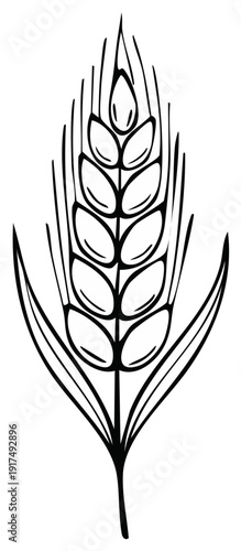 Stylized illustration of a single wheat stalk with grains and leaves in black outline