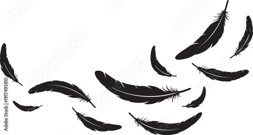 Black feathers floating gently in the air isolated white