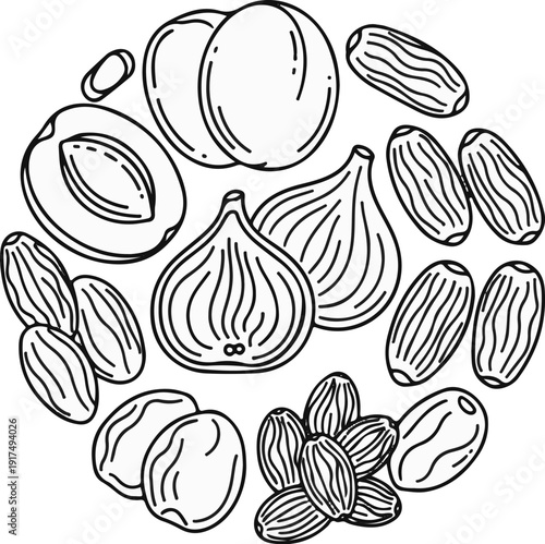 Circular arrangement of dried fruits including figs, dates, raisins and apricots