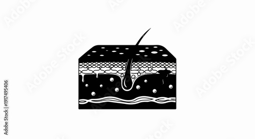 Cross-section of skin showing hair follicle, layers, and oil glands