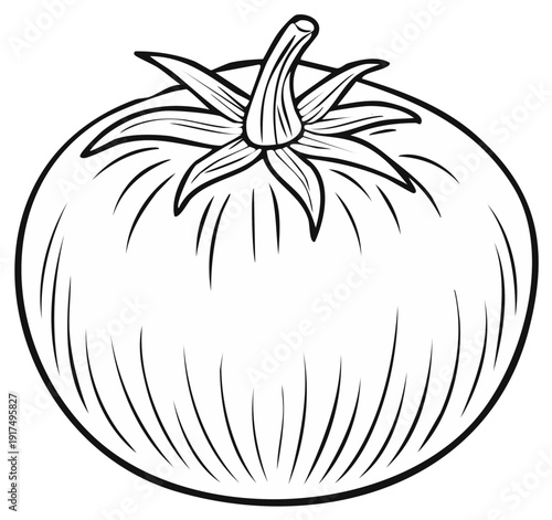 Black and white illustration of ripe tomato