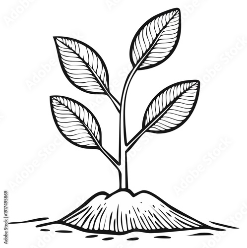 Line art drawing of a new plant sprouting from earth symbolizing growth and nature