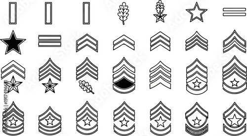 Collection of military rank insignia with stars, chevrons, oak leaves, and bars