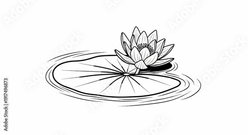 Delicate sketch of a water lily blooming on a lily pad