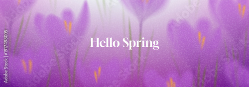 Gentle Spring floral background. Vector illustration with grainy texture and soft-focus blooming crocuses. Trendy gradient spring floral banner with blurred flowers for nature-themed branding, covers.