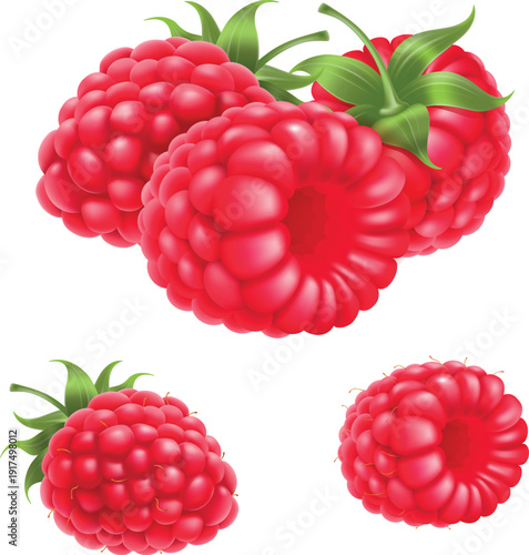 Fresh Red Raspberry Fruits Isolated on White Background Macro Close Up
