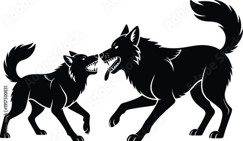 Black and white wolf silhouettes facing each other in aggressive stance, snarling and growling, symbolizing wildlife conflict, animal behavior, and dramatic vector illustration design.