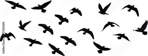 Silhouette flock of birds flying in formation, wildlife avian motion illustration, migratory flight pattern vector art, nature background design