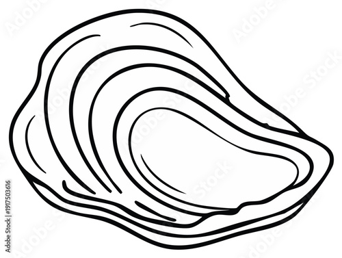 Outline illustration of a single oyster shell with detailed lines, side view.