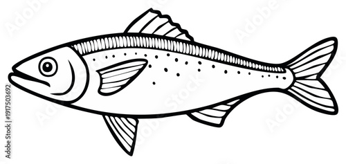 Outline illustration of a salmon with black ink. Fish profile design.