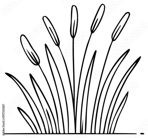 Hand drawn illustration of cattails growing in a marshy area in black outline style