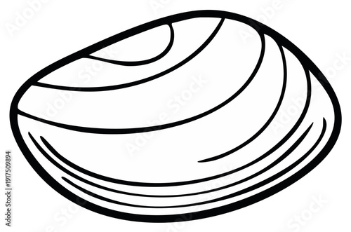 Stylized outline illustration of a single seashell with distinct lines indicating its form
