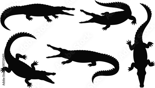 Crocodile silhouette set in different poses, alligator reptile collection, wild predator animal black vector illustration isolated on white background for nature design.
